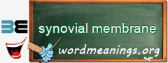 WordMeaning blackboard for synovial membrane